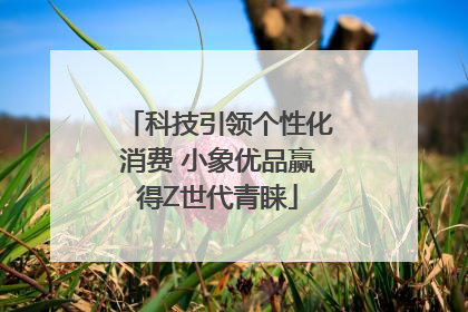 科技引领个性化消费 小象优品赢得Z世代青睐