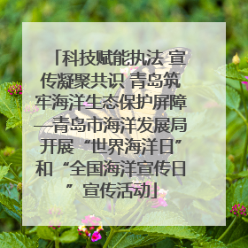 科技赋能执法 宣传凝聚共识 青岛筑牢海洋生态保护屏障—青岛市海洋发展局开展“世界海洋日”和“全国海洋宣传日”宣传活动
