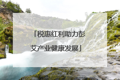 税惠红利助力彭艾产业健康发展