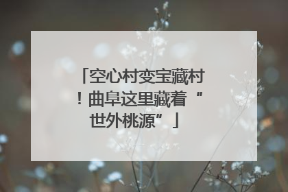 空心村变宝藏村！曲阜这里藏着“世外桃源”