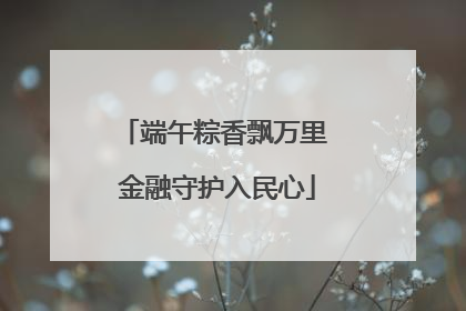 端午粽香飘万里 金融守护入民心