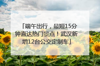 端午出行，最短15分钟直达热门景点！武汉新增12台公交定制车