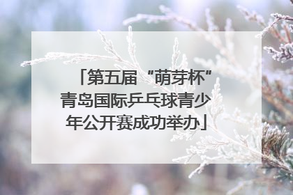 第五届“萌芽杯”青岛国际乒乓球青少年公开赛成功举办