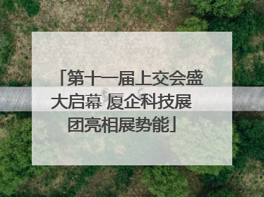 第十一届上交会盛大启幕 厦企科技展团亮相展势能