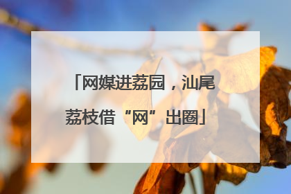网媒进荔园，汕尾荔枝借“网”出圈