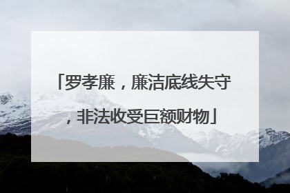 罗孝廉，廉洁底线失守，非法收受巨额财物