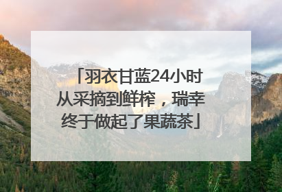 羽衣甘蓝24小时从采摘到鲜榨，瑞幸终于做起了果蔬茶