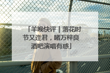 羊晚快评｜落花时节又逢君，睹万梓良酒吧演唱有感