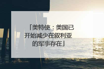 美特使：美国已开始减少在叙利亚的军事存在