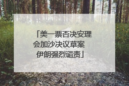 美一票否决安理会加沙决议草案 伊朗强烈谴责