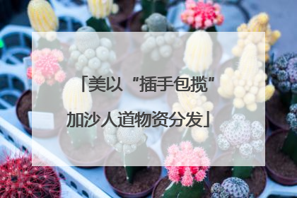 美以“插手包揽”加沙人道物资分发