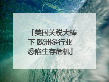 美国关税大棒下 欧洲多行业恐陷生存危机
