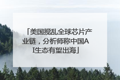 美国搅乱全球芯片产业链，分析师称中国AI生态有望出海