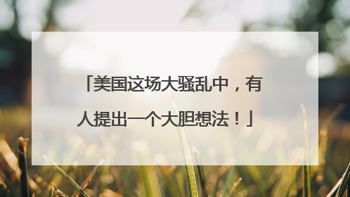 美国这场大骚乱中，有人提出一个大胆想法！