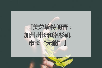 美总统特朗普：加州州长和洛杉矶市长“无能”