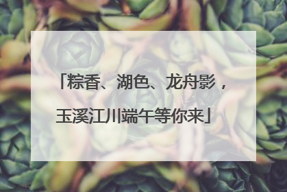粽香、湖色、龙舟影，玉溪江川端午等你来
