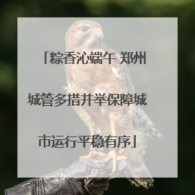 粽香沁端午 郑州城管多措并举保障城市运行平稳有序