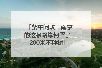紫牛问政｜南京的这条路缘何留了200米不种树