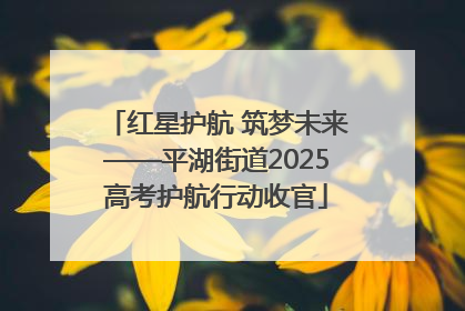 红星护航 筑梦未来——平湖街道2025高考护航行动收官
