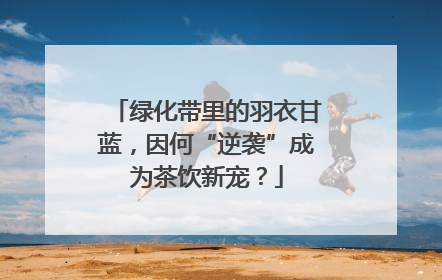 绿化带里的羽衣甘蓝，因何“逆袭”成为茶饮新宠？