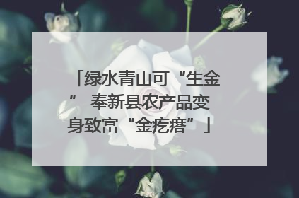 绿水青山可“生金” 奉新县农产品变身致富“金疙瘩”