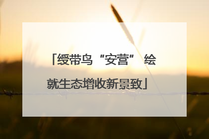 绶带鸟“安营” 绘就生态增收新景致