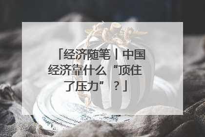 经济随笔丨中国经济靠什么“顶住了压力”？