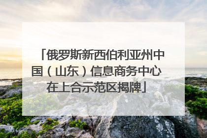 俄罗斯新西伯利亚州中国（山东）信息商务中心在上合示范区揭牌