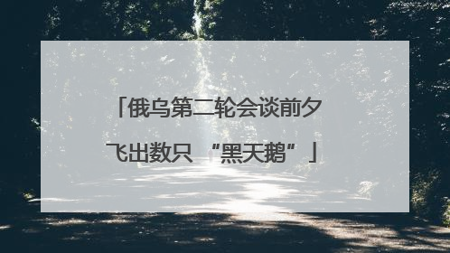 俄乌第二轮会谈前夕 飞出数只 “黑天鹅”