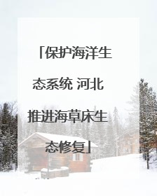 保护海洋生态系统 河北推进海草床生态修复