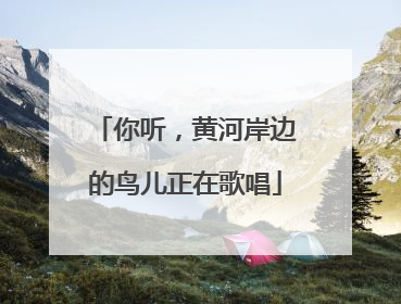 你听，黄河岸边的鸟儿正在歌唱