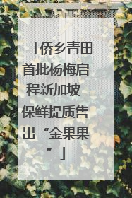 侨乡青田首批杨梅启程新加坡 保鲜提质售出“金果果”