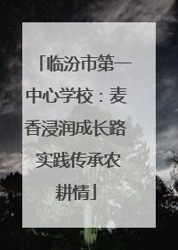 临汾市第一中心学校：麦香浸润成长路 实践传承农耕情
