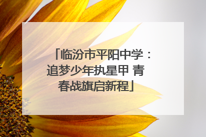 临汾市平阳中学：追梦少年执星甲 青春战旗启新程