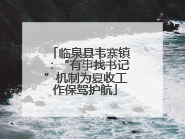 临泉县韦寨镇：“有事找书记”机制为夏收工作保驾护航