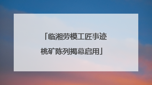 临湘劳模工匠事迹桃矿陈列揭幕启用