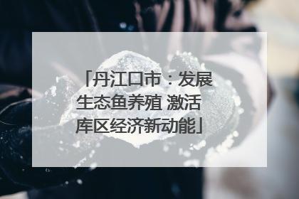 丹江口市：发展生态鱼养殖 激活库区经济新动能