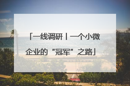 一线调研丨一个小微企业的“冠军”之路