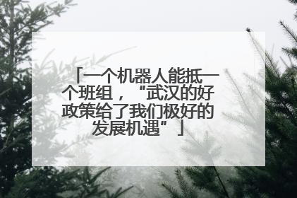 一个机器人能抵一个班组，“武汉的好政策给了我们极好的发展机遇”