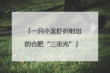 一只小龙虾折射出的合肥“三重光”
