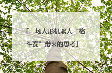 一场人形机器人“格斗赛”带来的思考