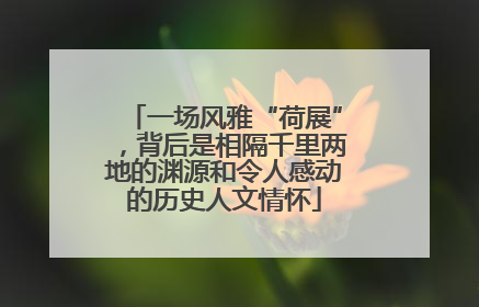 一场风雅“荷展”，背后是相隔千里两地的渊源和令人感动的历史人文情怀