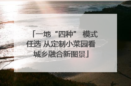 一地“四种” 模式任选 从定制小菜园看城乡融合新图景