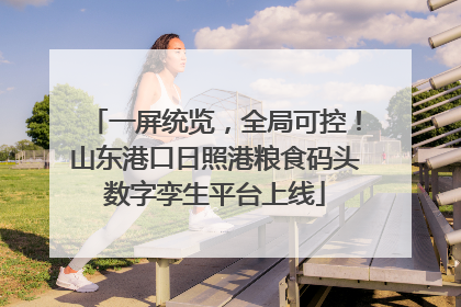 一屏统览，全局可控！山东港口日照港粮食码头数字孪生平台上线
