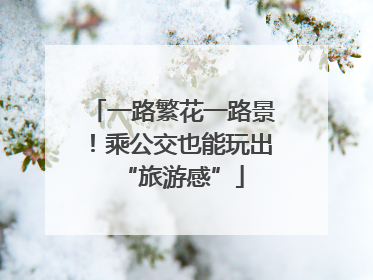 一路繁花一路景！乘公交也能玩出“旅游感”