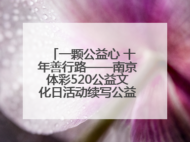 一颗公益心 十年善行路——南京体彩520公益文化日活动续写公益新篇章