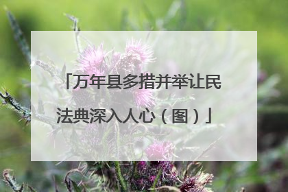 万年县多措并举让民法典深入人心（图）