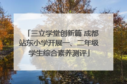 三立学堂创新篇 成都站东小学开展一、二年级学生综合素养测评