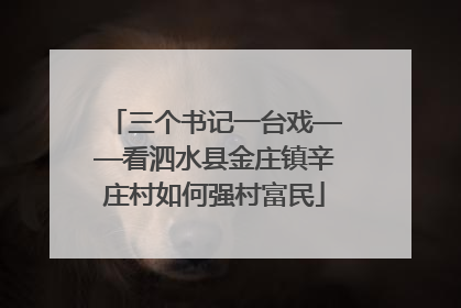 三个书记一台戏——看泗水县金庄镇辛庄村如何强村富民