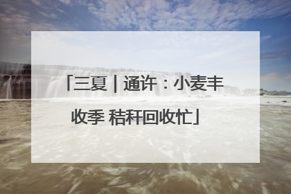 三夏｜通许：小麦丰收季 秸秆回收忙